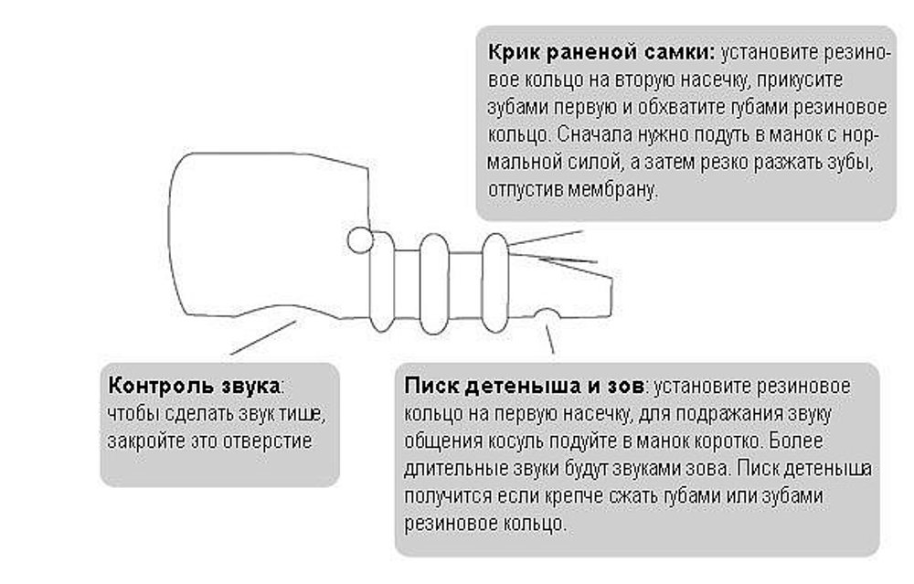 Манок на косулю своими руками чертежи